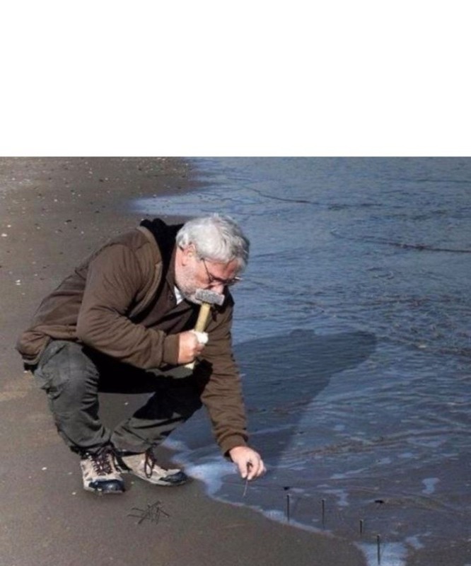 Create meme: pretends to be working, The guy hammers nails into the sand, photo of friends