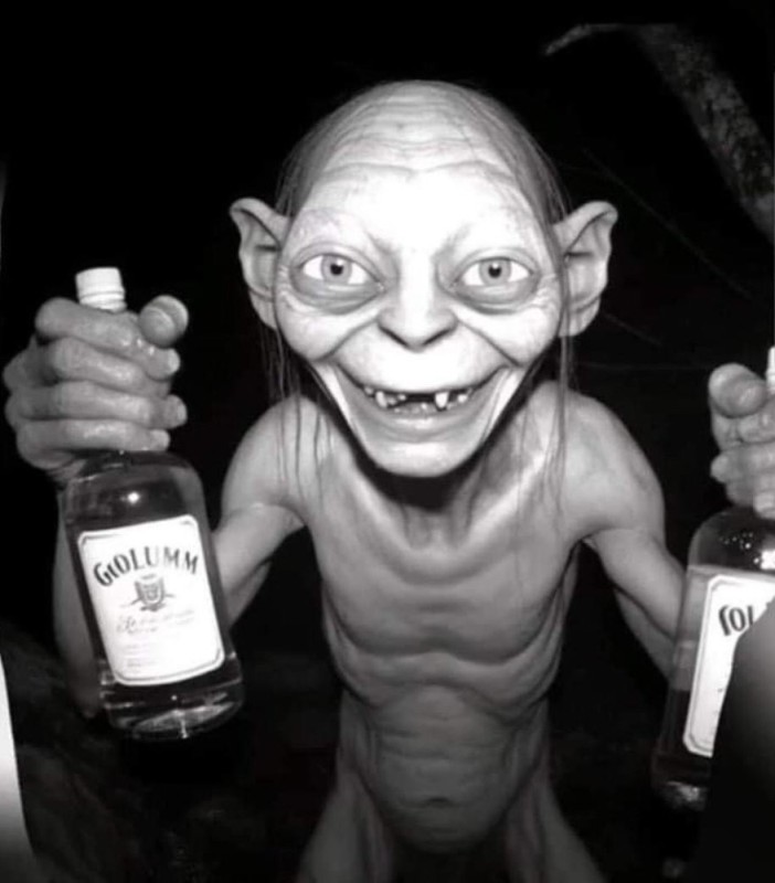 Create meme: The lord of the rings dobby, Dobby and Gollum, alcohol 