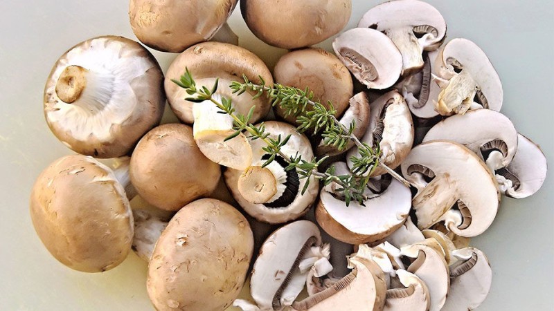 Create meme: mushroom champignon, champignons, boiled champignons