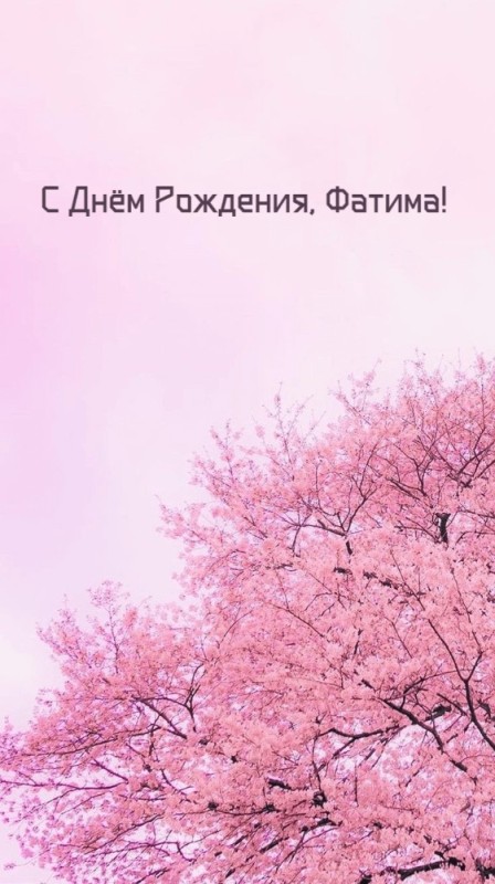 Create meme: sakura branch, pink sakura, cherry blossom