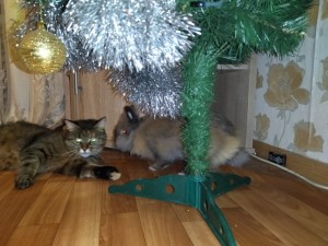 Create meme: artificial tree, cat and Christmas tree