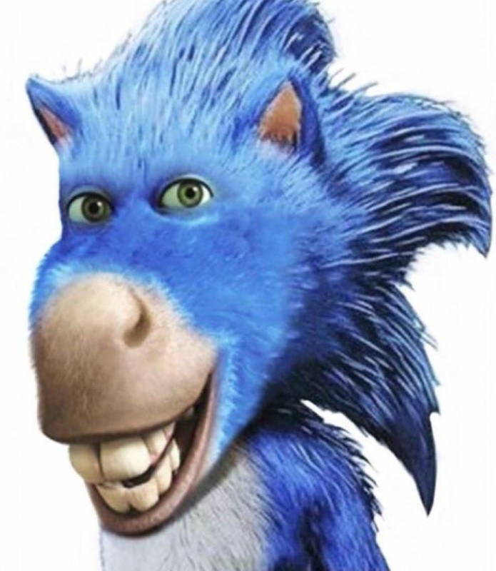 Create meme: Sonic the donkey, Sonic in the Movies / sonic the hedgehog (2020), Sonic 3 movie