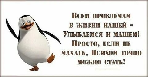 Создать мем: пингвин, статусы и цитаты, пингвины из мадагаскара улыбаемся и машем