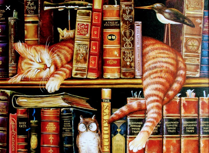 Create meme: painting bookshelves, the cat and the book, Paintings on the bookshelf title