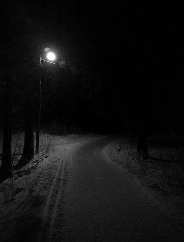 Create meme: winter road, winter night, the forest dark