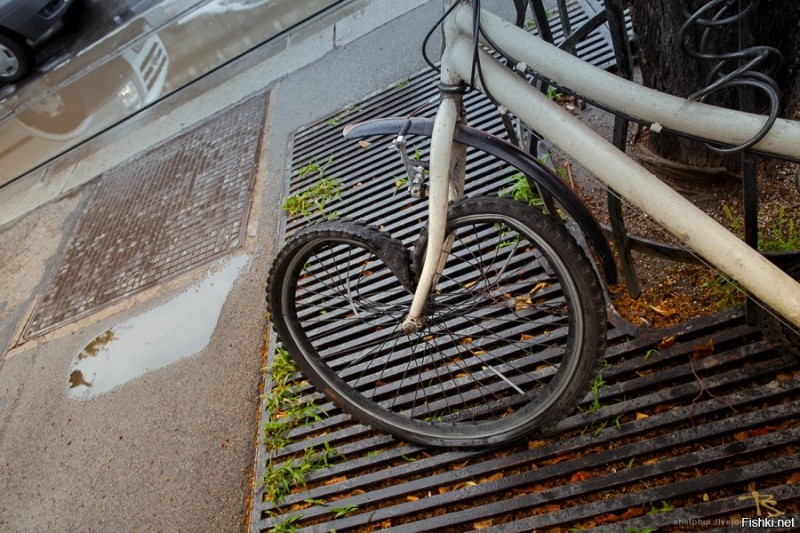 Create meme: a bicycle on the asphalt, bike parking vintage bicycles, a rusty bike
