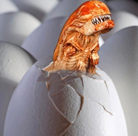 Create meme: alien eggs, alien egg, peekaboo 
