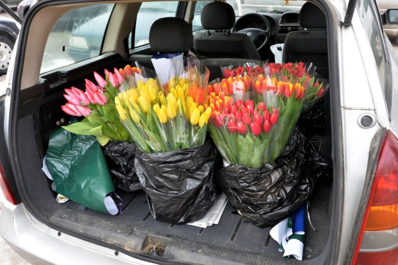 Create meme: bouquet of tulips