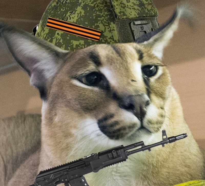 Create meme: slap caracal, caracal slap, slap the caracal wet