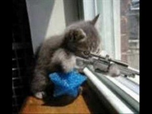 Создать мем: кот с пистолетом ебаш, кошка стреляет картинки, кот снайпер фото