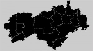 Create meme: map of Mari El with districts, map of rmary El vector, RME map with districts