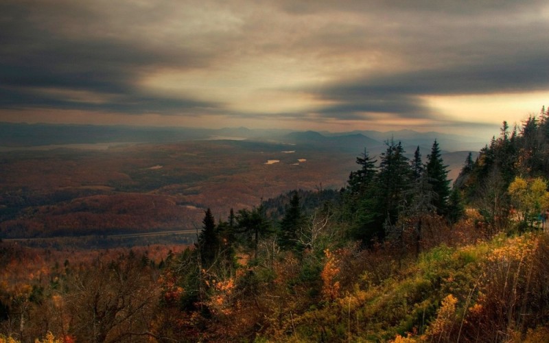 Create meme: desktop wallpapers autumn nature, autumn forest view from the hill, mountain forest 