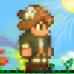 Create meme: terraria wiki, terraria on Android, game terraria