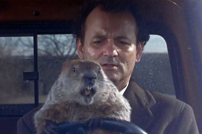 Создать мем: билл мюррей день сурка, groundhog day, день сурка фильм 1993