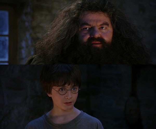 Create meme: harry potter harry, Hagrid from Harry, harry potter harry potter