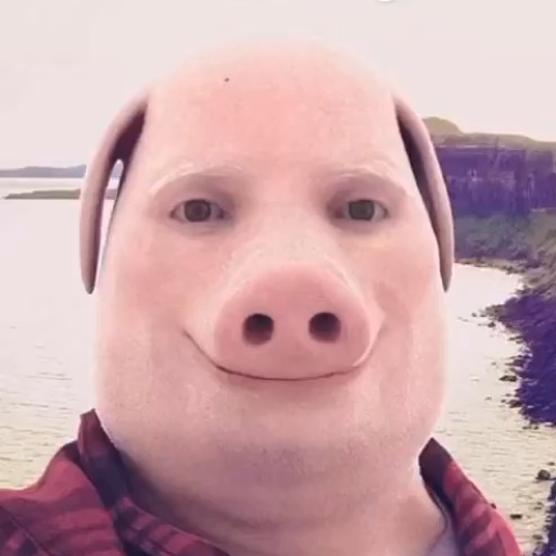 Create meme: john pork, john pork, pig meme