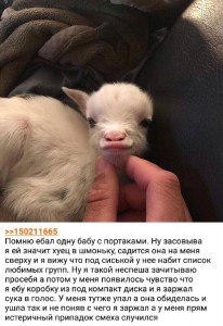 Создать мем: goat, точна, сегодня среда картинки прикольные