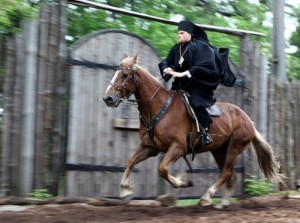 Создать мем: наместник, horse, конь