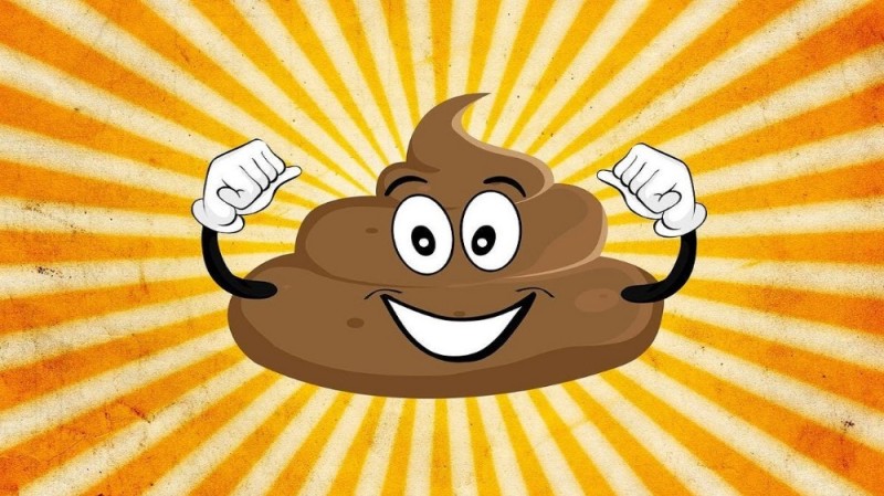 Create meme: turd , funny poop, turd picture