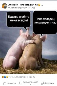 Create meme: two pigs, pig, pig