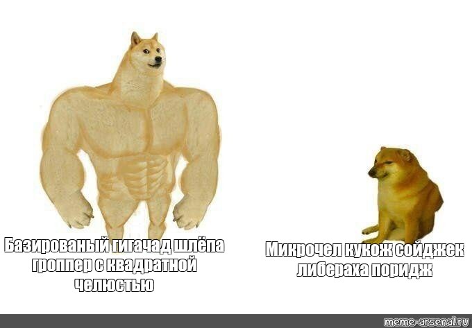 Сойджек мем