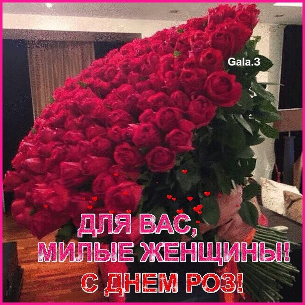 Create meme: give flowers to women, the bouquet of roses is huge, a gorgeous bouquet