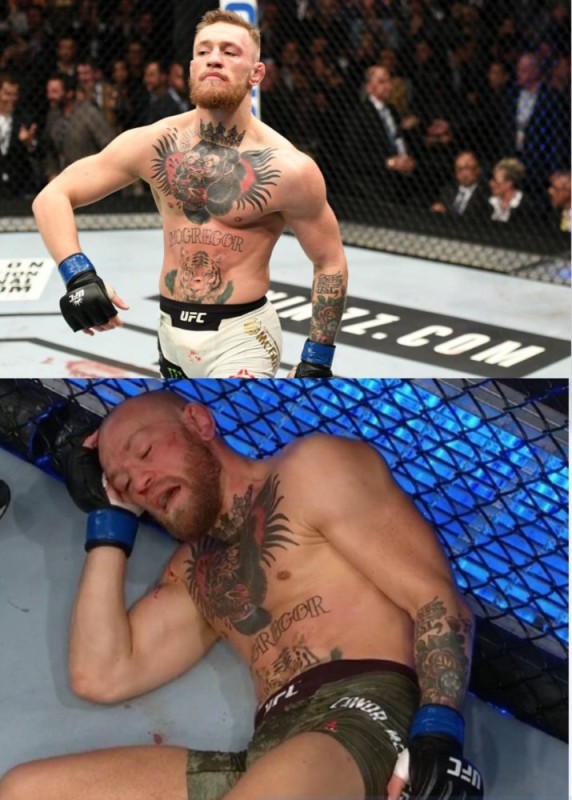 Create meme: Khabib Nurmagomedov Conor McGregor, conor McGregor habib, conor McGregor fight