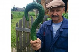 Create meme: man cucumber, man with cucumber