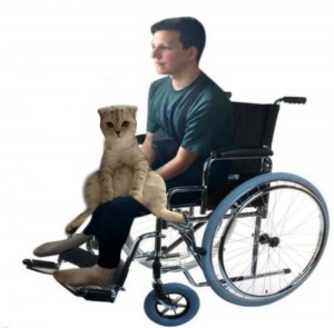 Create meme: man in wheelchair, wheelchair