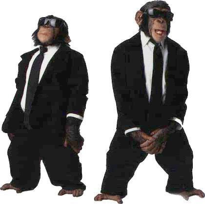 Create meme: monkey show cover, the blues brothers, men's black suit
