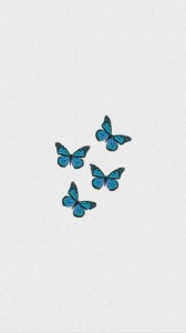 Create meme: butterfly, blue butterfly