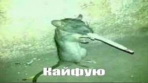 Create meme: a rat with a cigarette, mouse with a cigarette