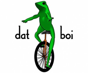 Создать мем: frog, irl, unicycle
