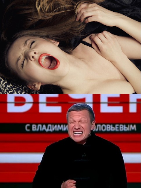 Create meme: the woman moans, Solovyov in, Vladimir Solovyov 