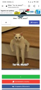 Создать мем: барсик мем, мем белый кот с руками, мем кот так блэт