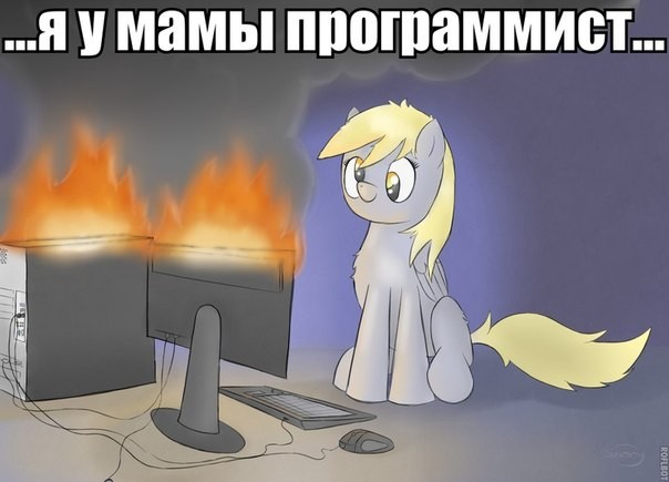 Create meme: derpy pony, a pony with a computer, derpy