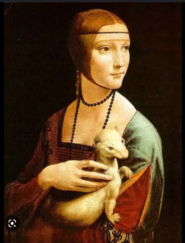 Create meme: lady with an ermine Leonardo da Vinci, lady with ermine, Leonardo da Vinci
