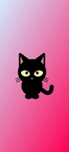Create meme: black cat, black cat, black cat