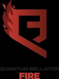 Create meme: steam, quantum bellator fire logo, winstrike vs quantum bellator