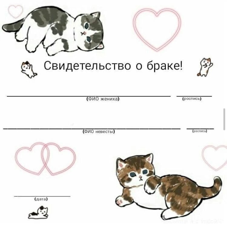 Create meme: marriage certificate with cats, the marriage certificate is cute with cats, marriage certificate meme cat