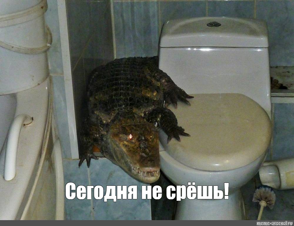 Срешь 2