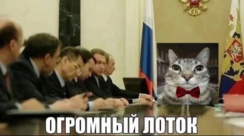 Создать мем: кот который, мило мем, людей