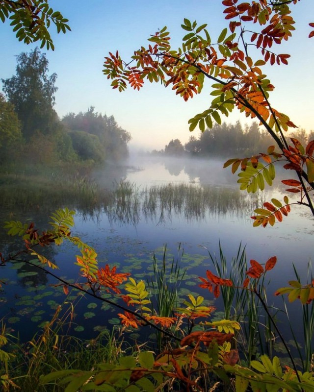 Создать мем: осень, открытки с добрым утром осенние с природой, осеннее утро доброе