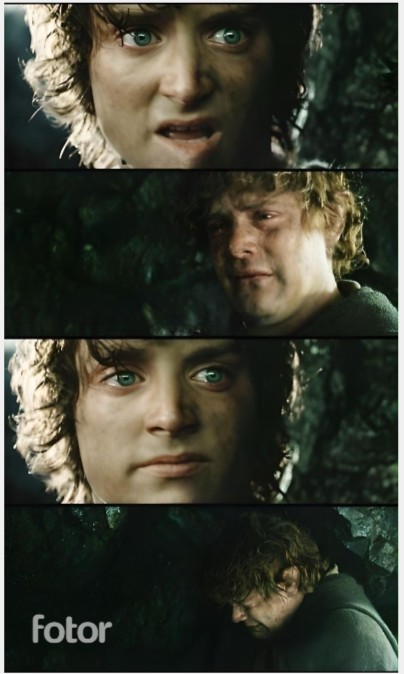 Create meme: the hobbit lord of the rings, lord of the rings film series, Sam the Lord of the rings