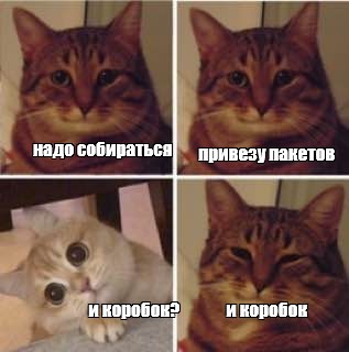 Сomics meme надо собираться привезу пакетов и коробок и коробок Comics Meme arsenal com