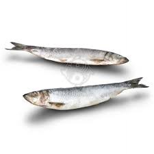 Create meme: herring , smelt fish, herring fish