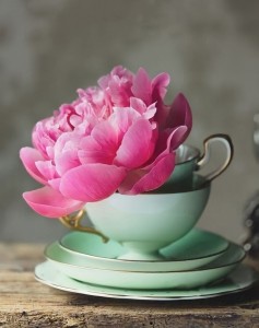 Создать мем: цветы в чашке, цветы красивые, доброе утро с пионами