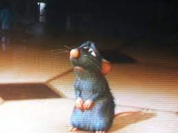 Create meme: Ratatouille