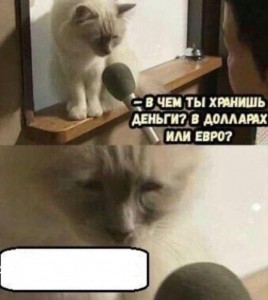 Create meme: Cat, then meme cat, sad cat meme