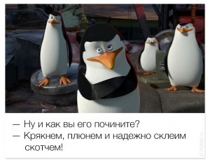 Create meme: Madagascar 3, penguin of Madagascar with an open mouth, gay penguin of Madagascar private